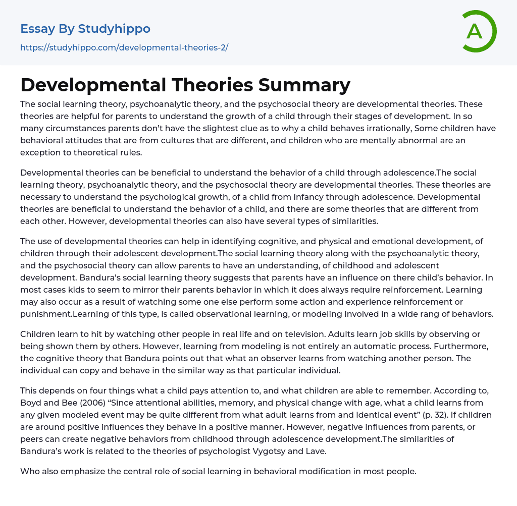 Developmental Theories Summary Essay Example