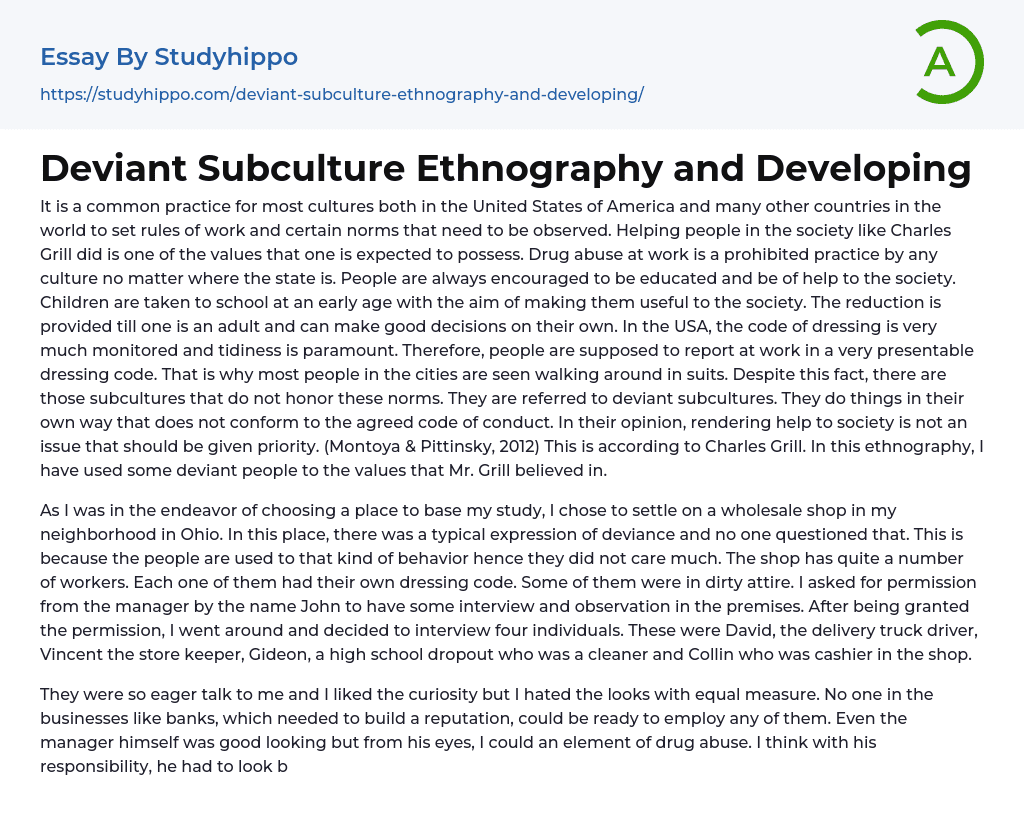 Deviant Subculture Ethnography and Developing Essay Example