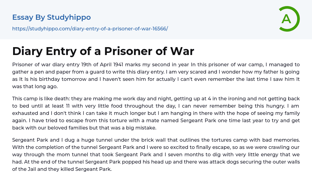 Diary Entry of a Prisoner of War Essay Example