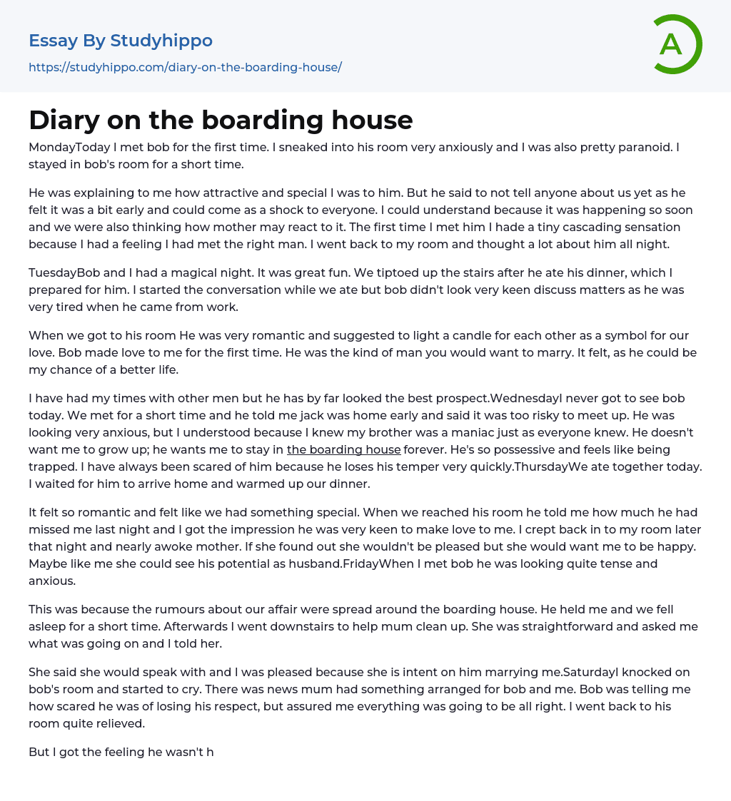 Diary on the boarding house Essay Example