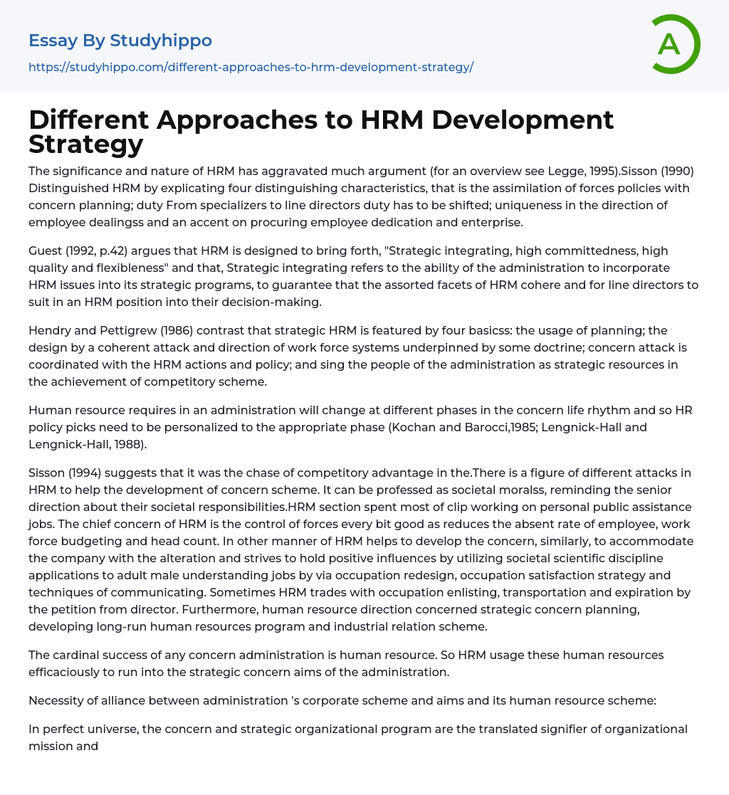 essay on hrm strategy