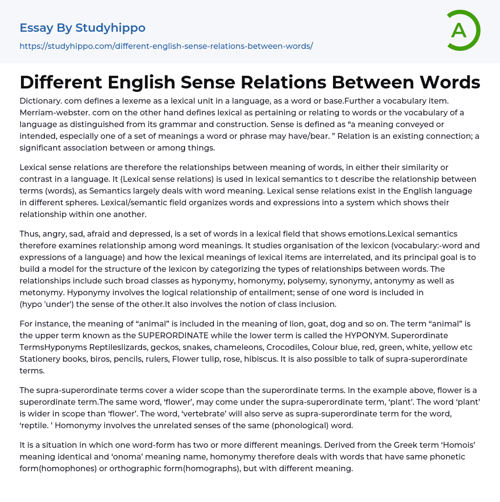 Different English Sense Relations Between Words Essay Example