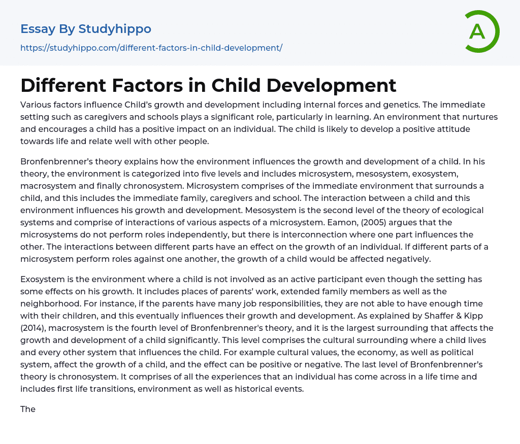 Different Factors in Child Development Essay Example