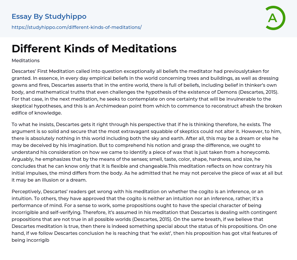 Different Kinds of Meditations Essay Example