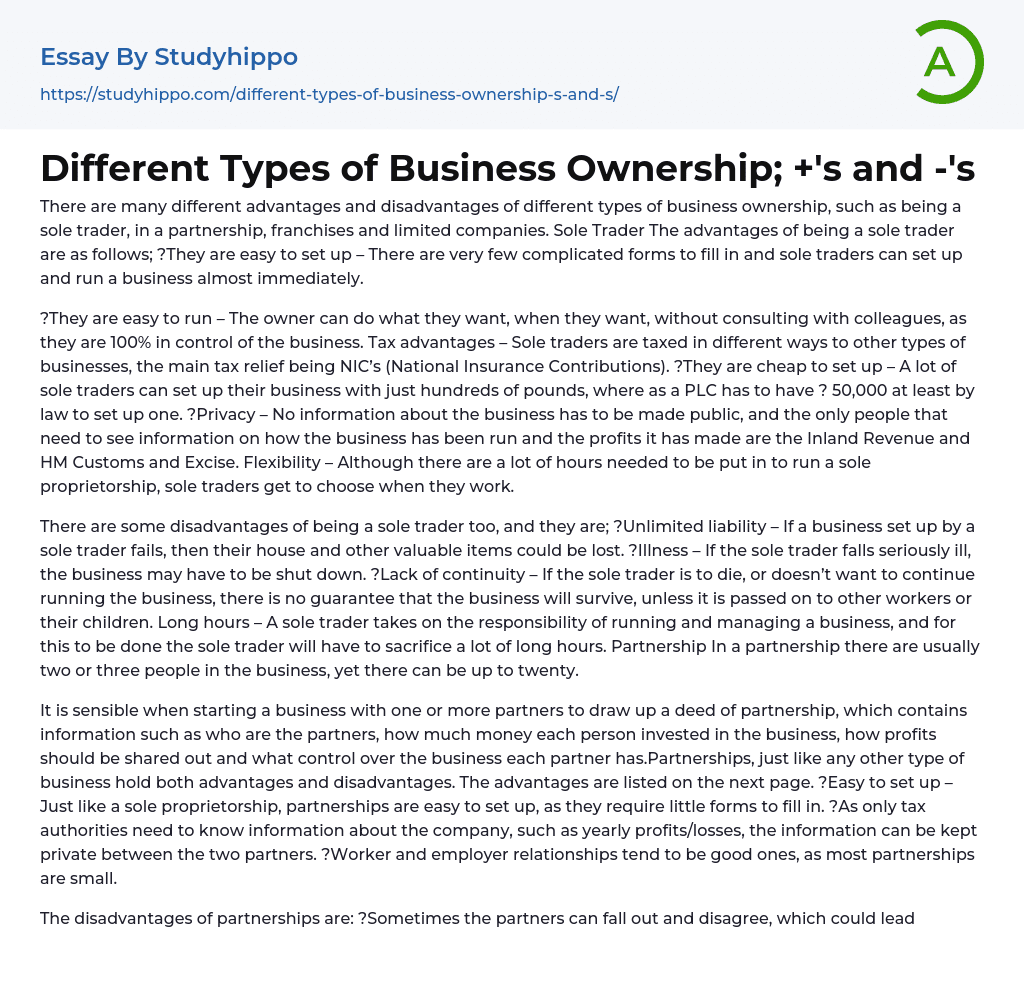 Different Types of Business Ownership; +’s and -‘s Essay Example