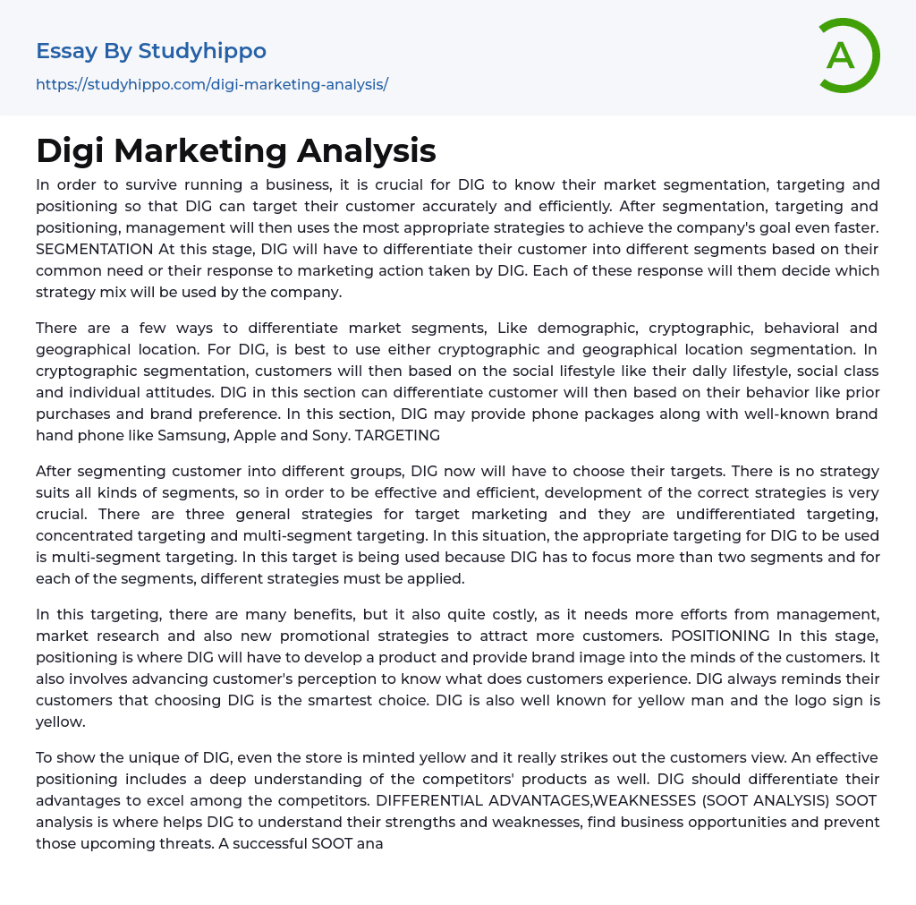 Digi Marketing Analysis Essay Example