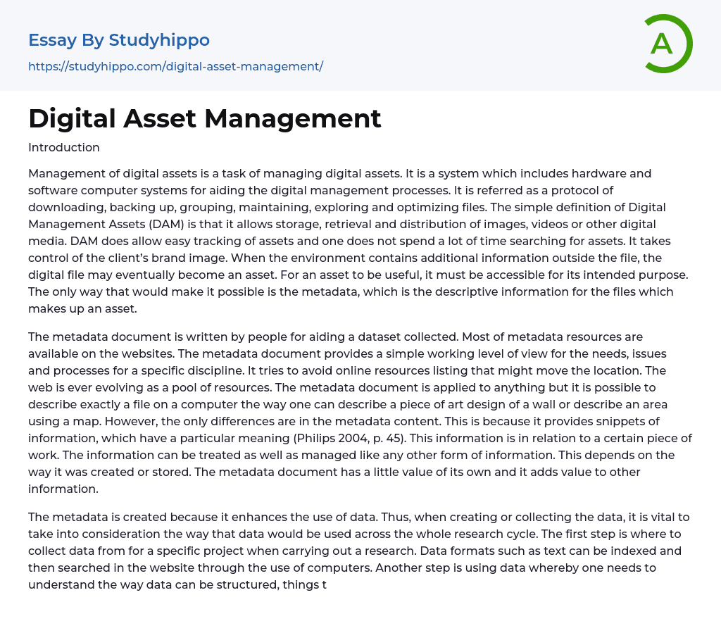 Digital Asset Management Essay Example