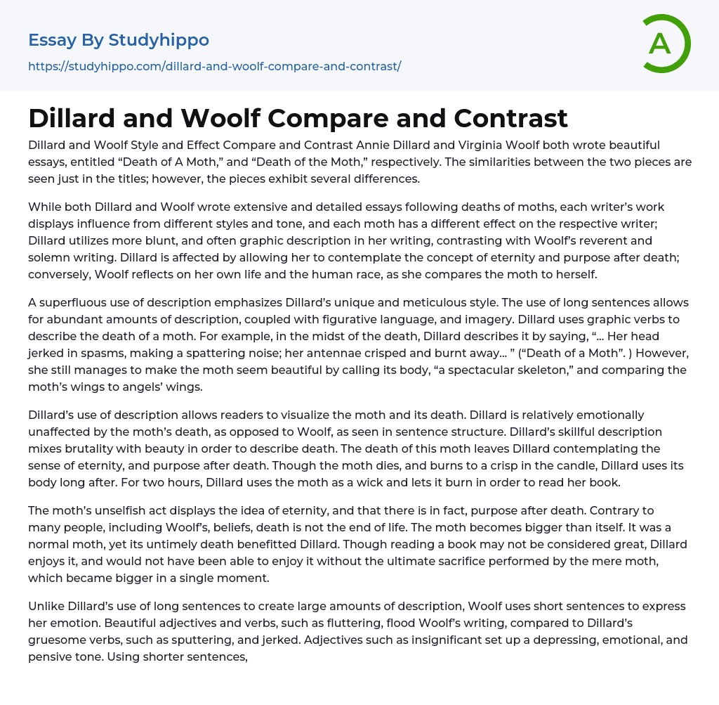 Dillard and Woolf Compare and Contrast Essay Example