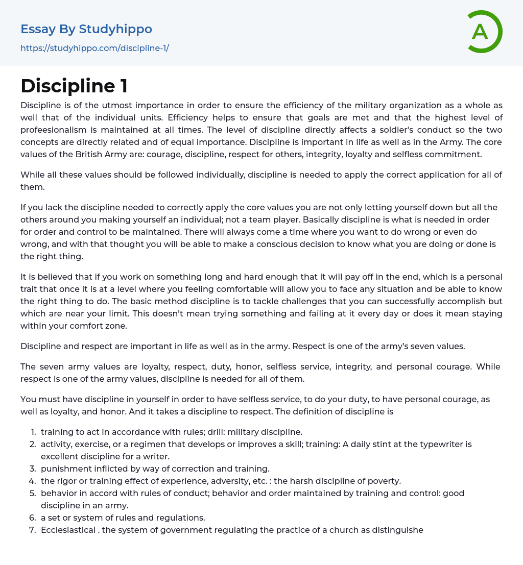 Discipline 1 Essay Example