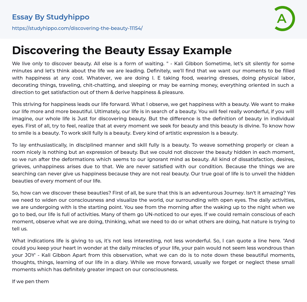 Discovering the Beauty Essay Example