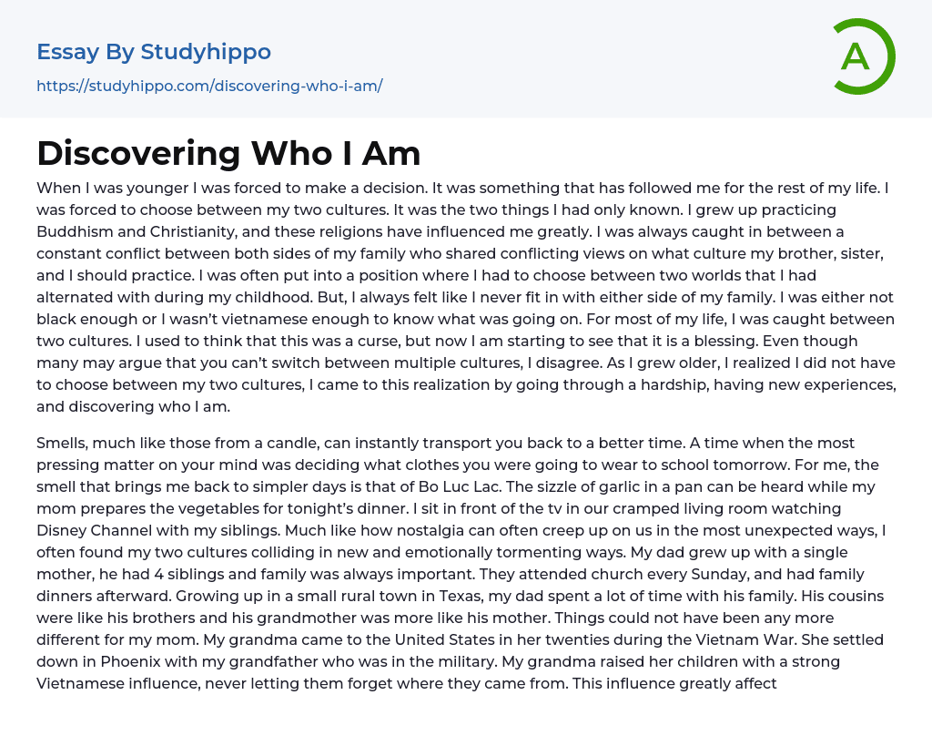 Discovering Who I Am Essay Example