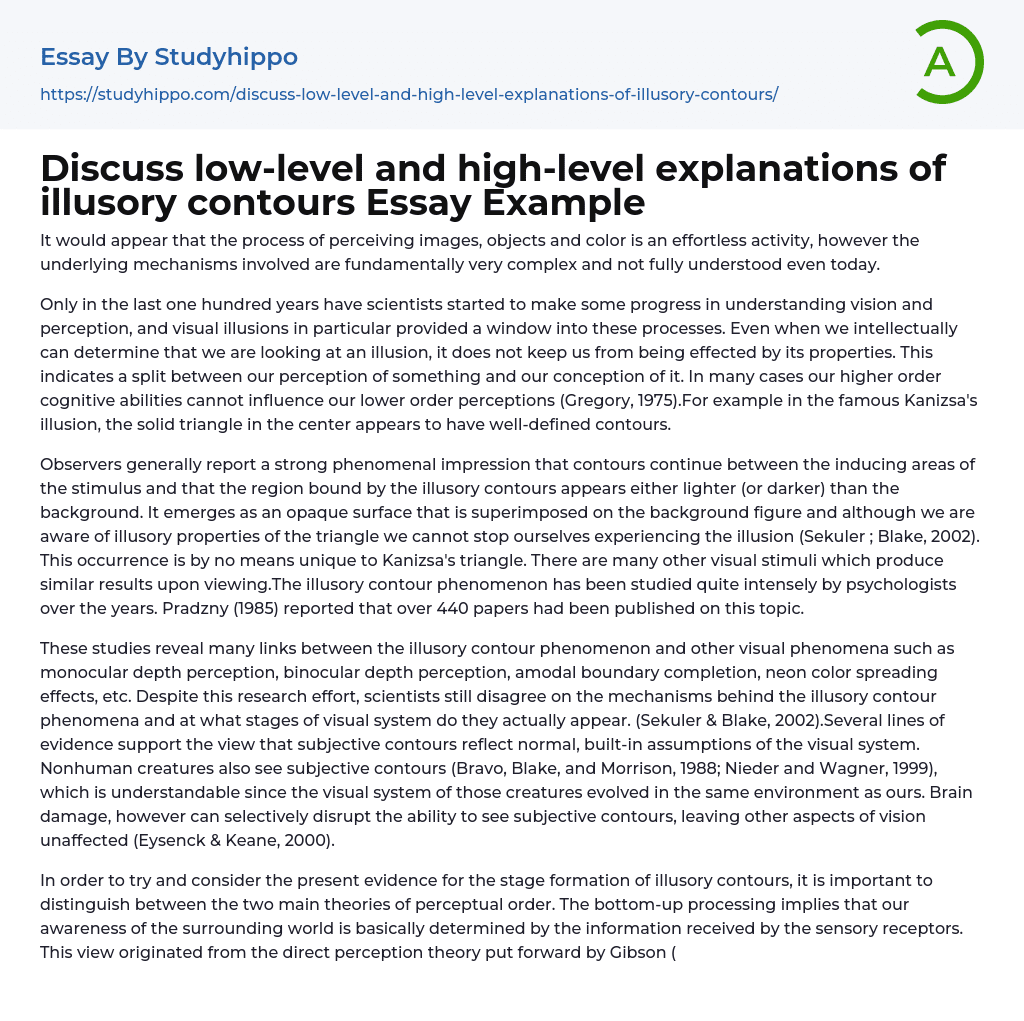 Discuss low-level and high-level explanations of illusory contours Essay Example