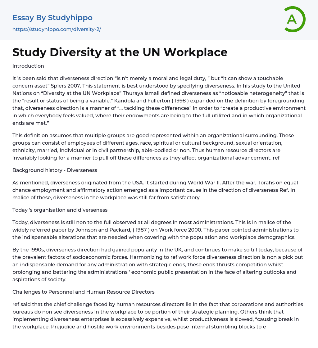Study Diversity at the UN Workplace Essay Example