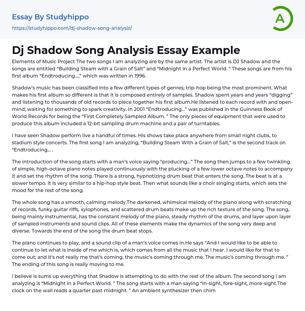 Dj Shadow Song Analysis Essay Example