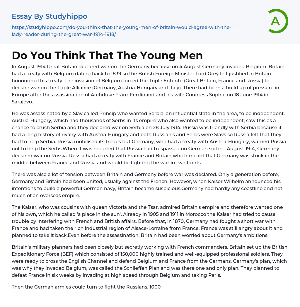 Do You Think That The Young Men Essay Example