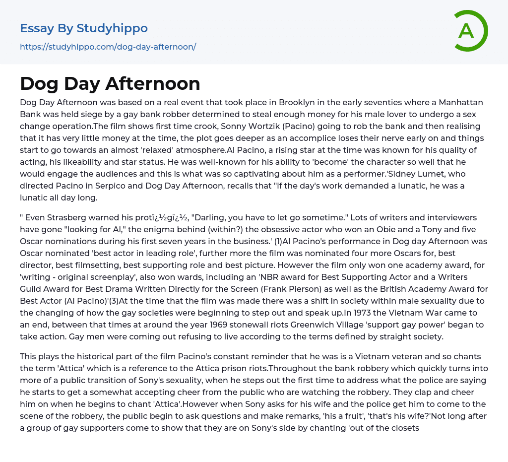 Dog Day Afternoon Essay Example