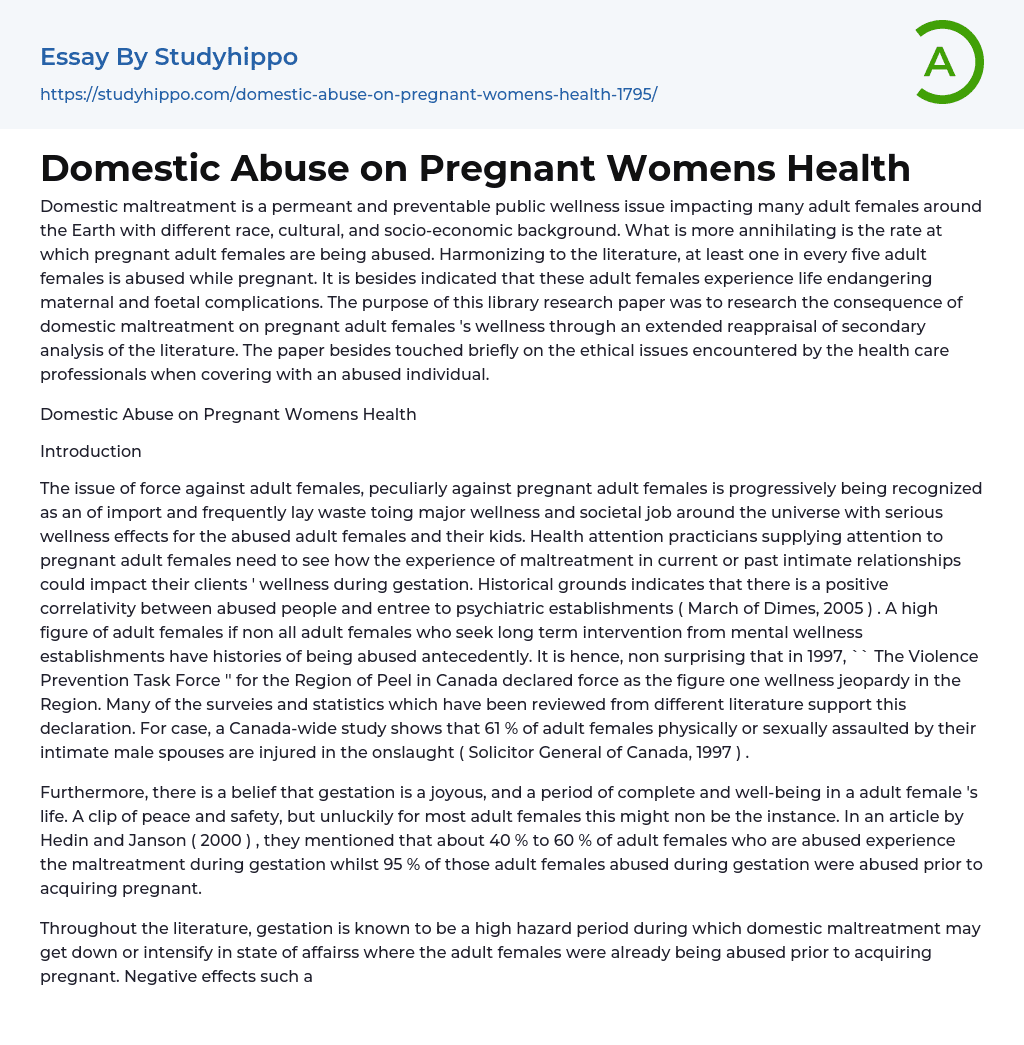 Domestic Abuse on Pregnant Womens Health Essay Example