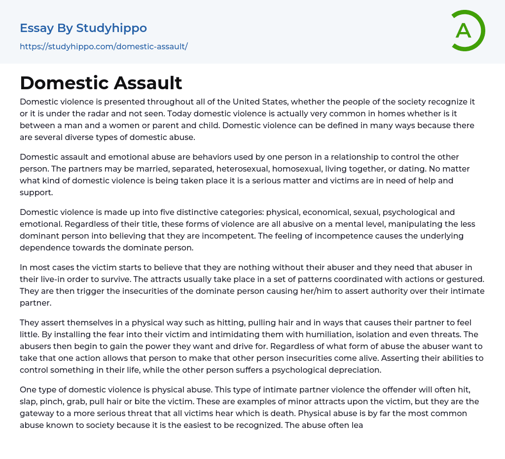 Domestic Assault Essay Example