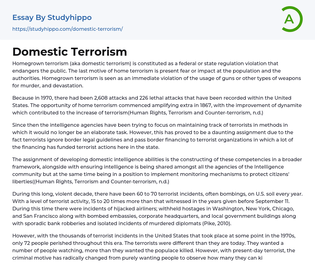 Domestic Terrorism Essay Example