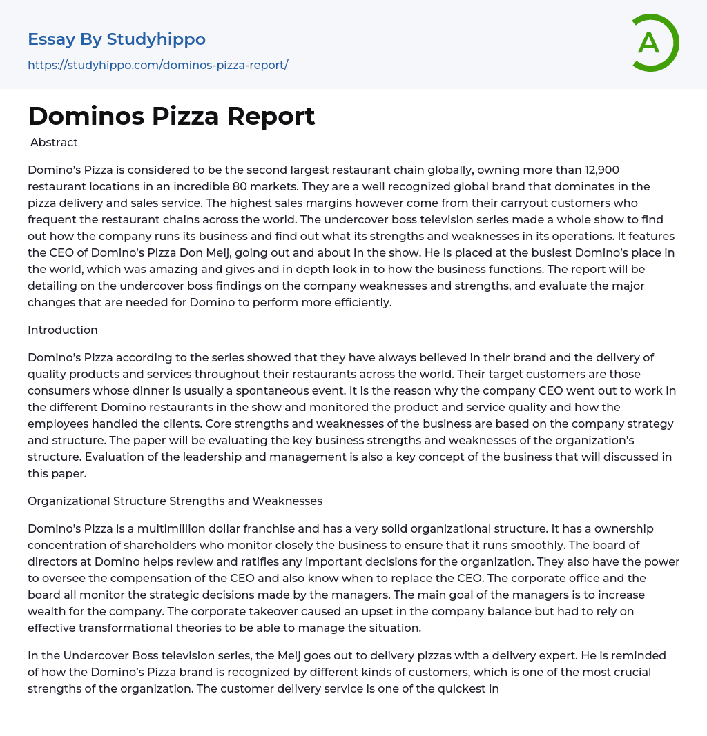 Dominos Pizza Report Essay Example