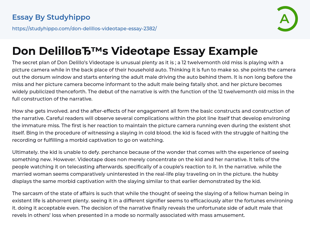 Don Delillo’s Videotape Essay Example