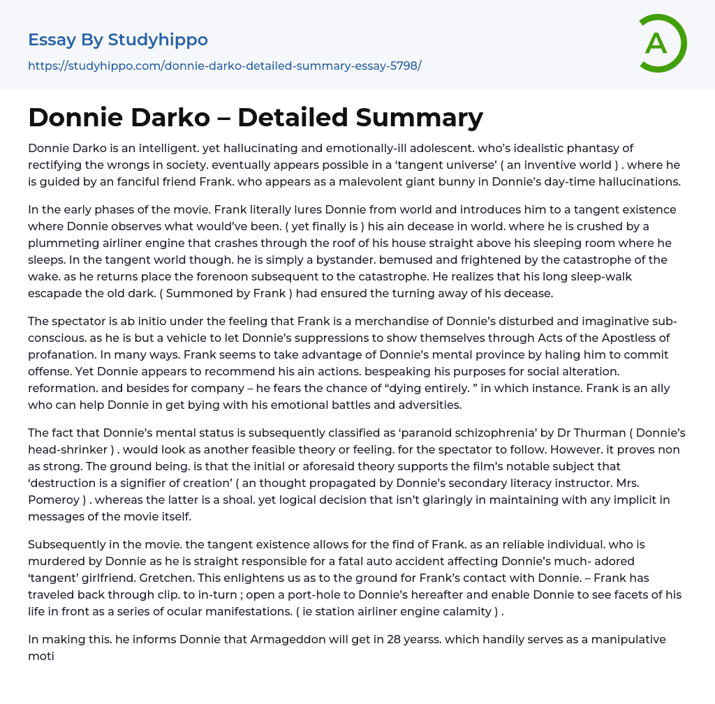 Donnie Darko – Detailed Summary Essay Example