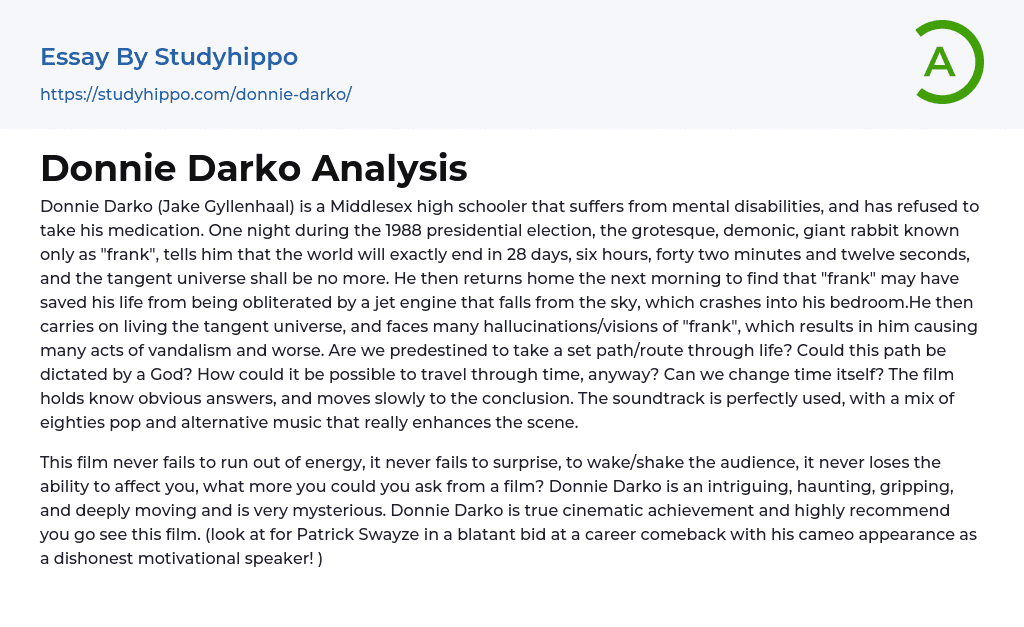 Donnie Darko Analysis Essay Example