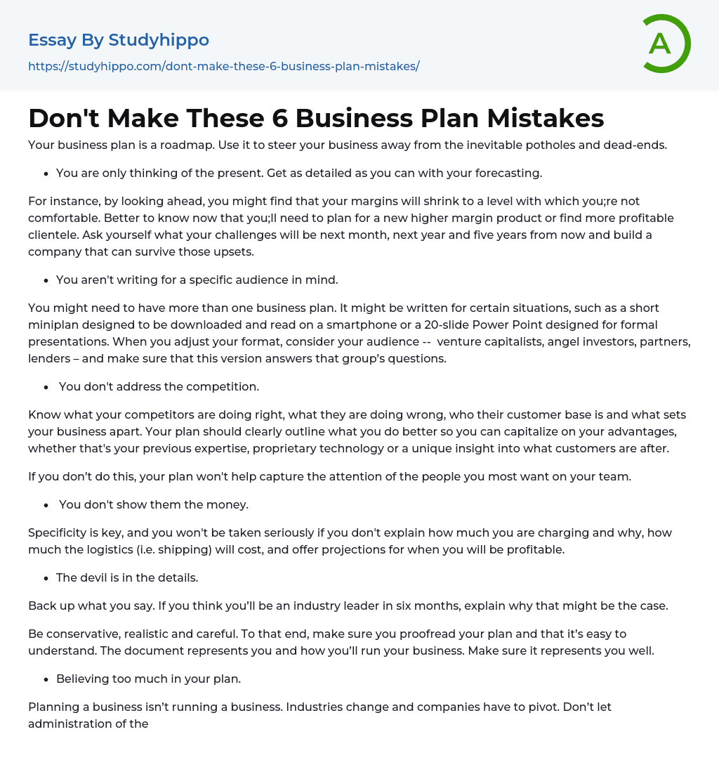 Don’t Make These 6 Business Plan Mistakes Essay Example