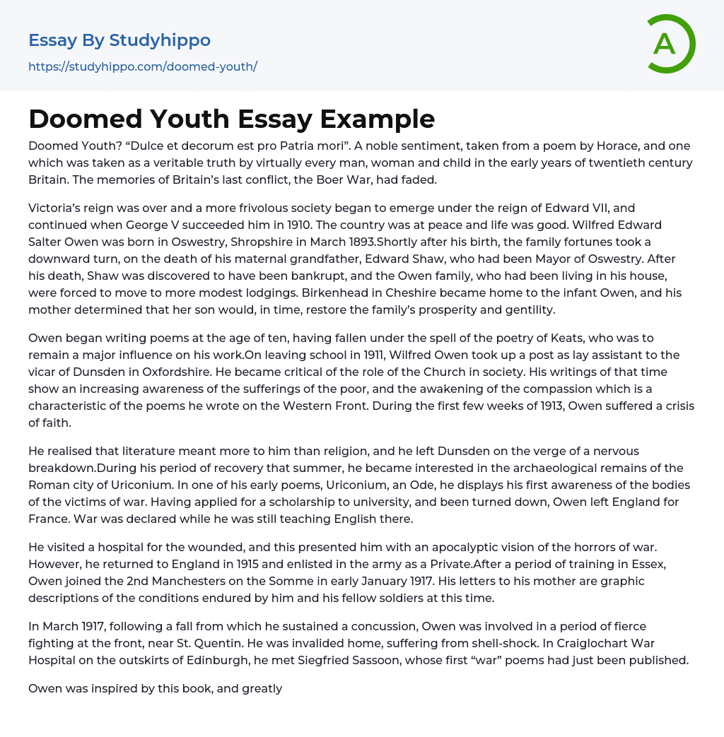 Doomed Youth Essay Example