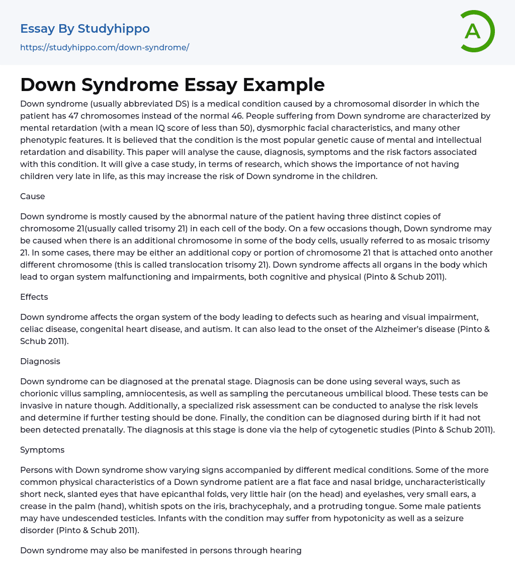 Down Syndrome Essay Example