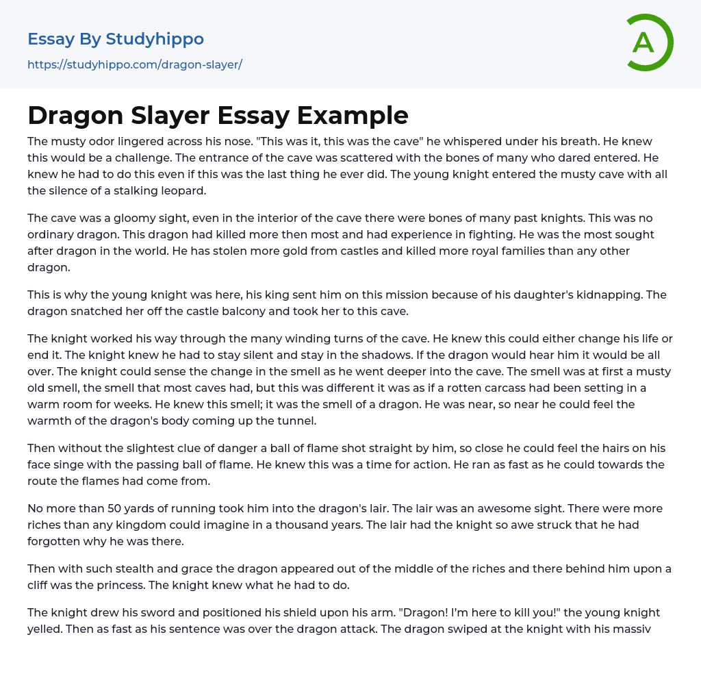 Dragon Slayer Essay Example