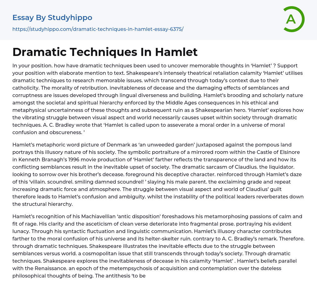 Dramatic Techniques In Hamlet Essay Example