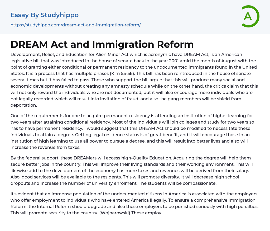 DREAM Act and Immigration Reform Essay Example