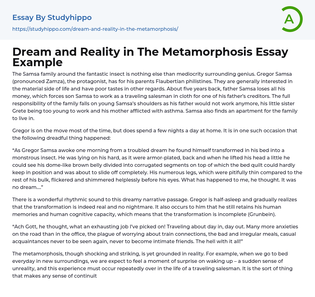 Dream and Reality in The Metamorphosis Essay Example