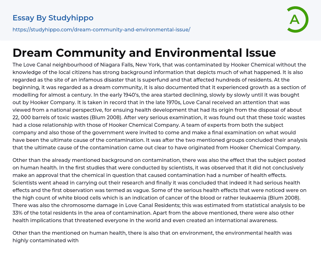 Dream Community and Environmental Issue Essay Example