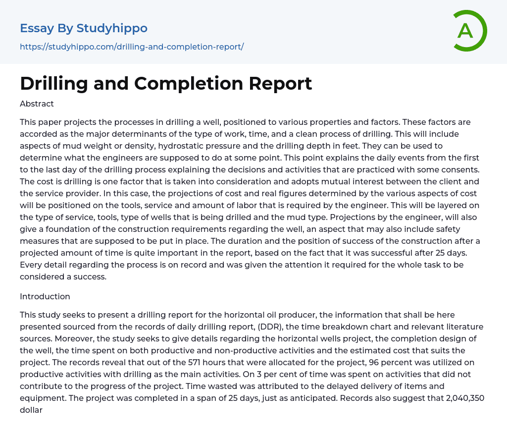 Drilling and Completion Report Essay Example