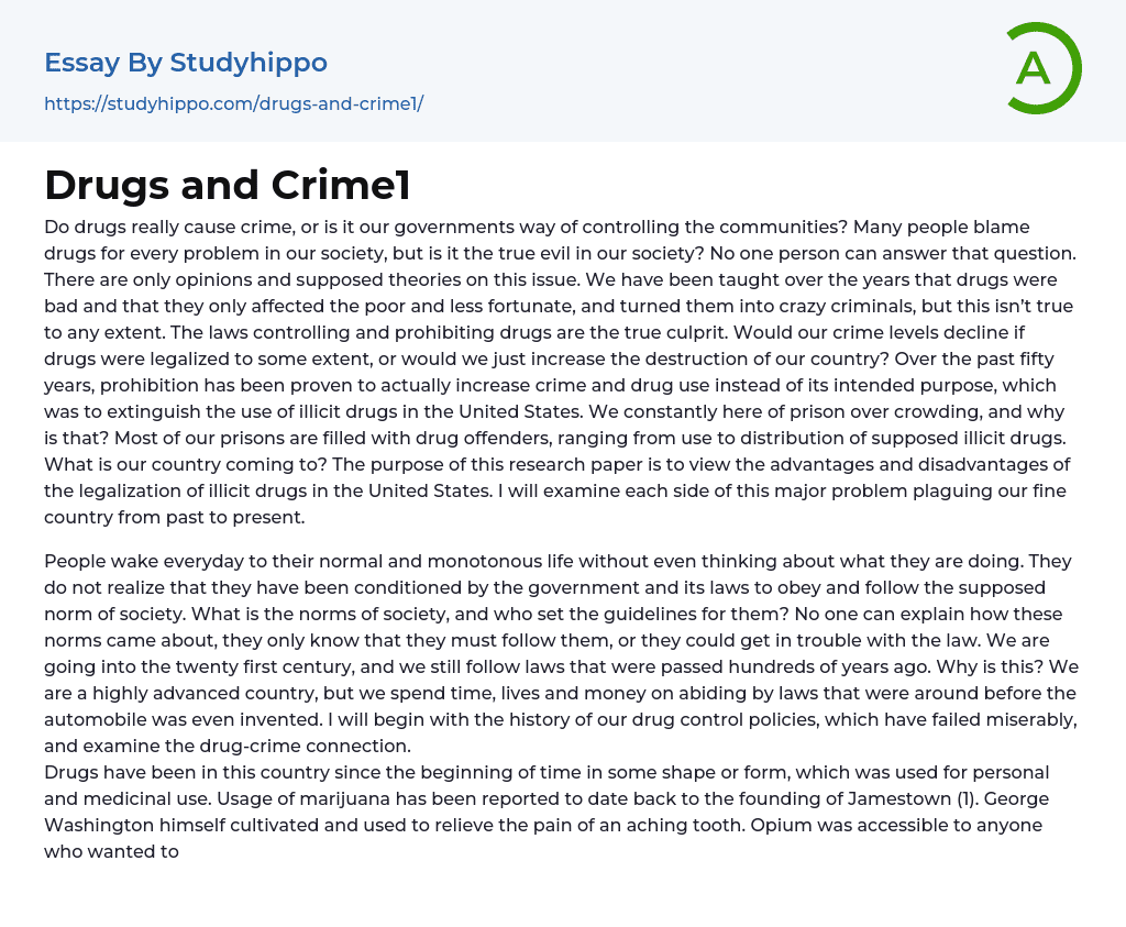 Drugs and Crime1 Essay Example