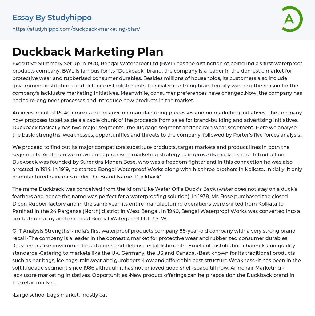Duckback Marketing Plan Essay Example