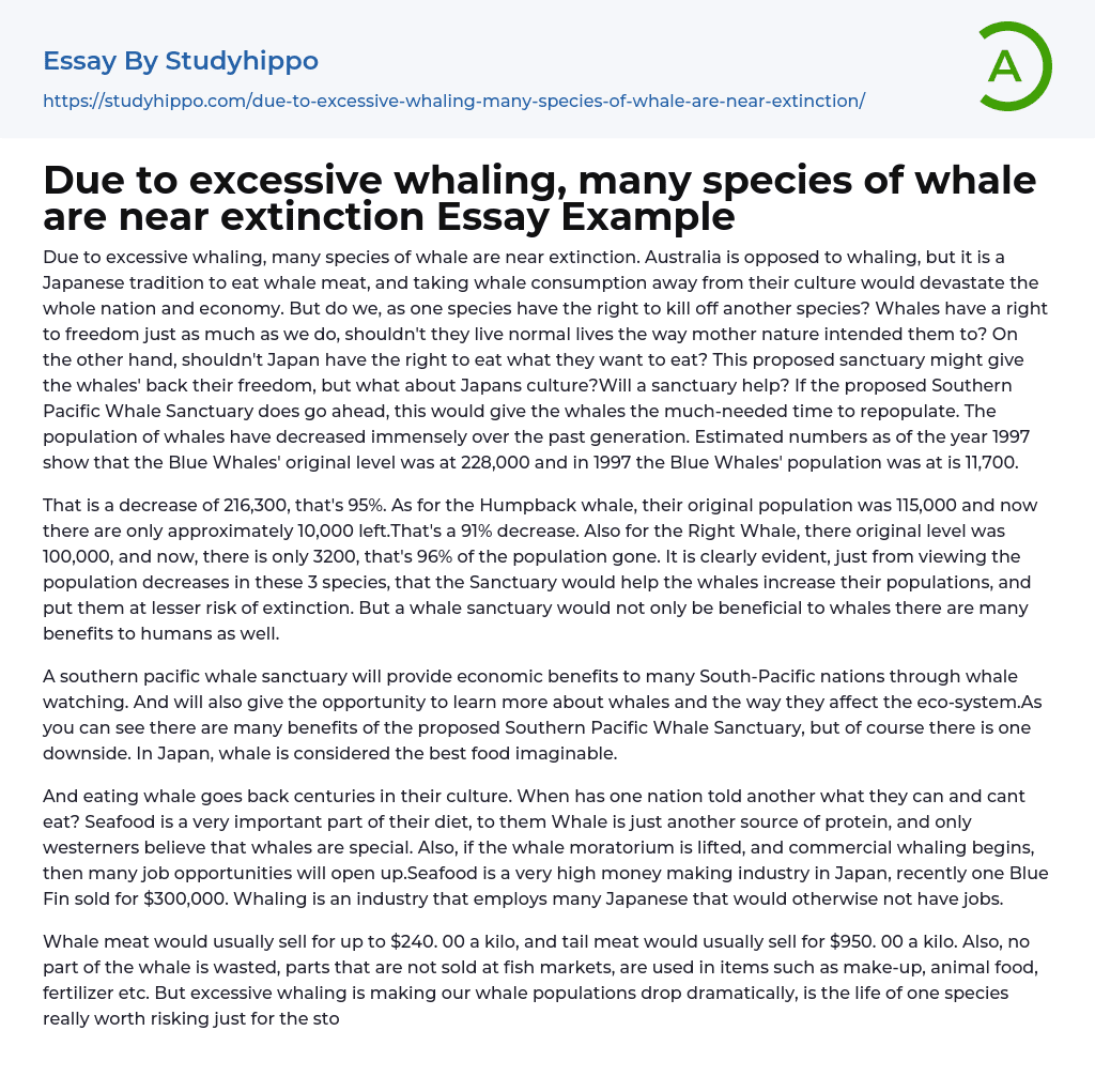 Due to excessive whaling, many species of whale are near extinction Essay Example