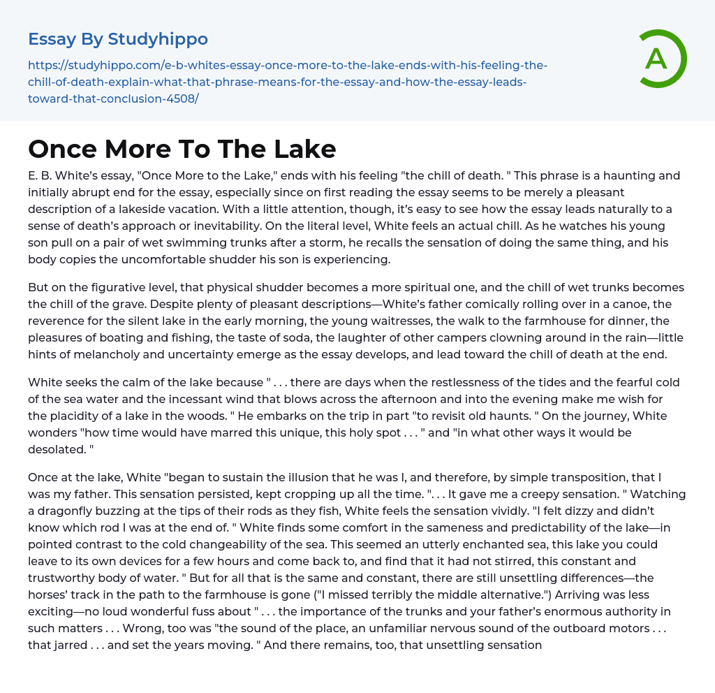 Once More To The Lake Essay Example