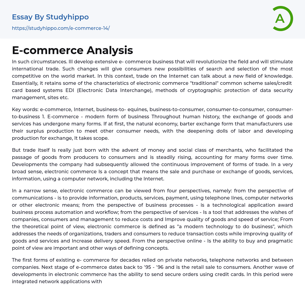 E-commerce Analysis Essay Example