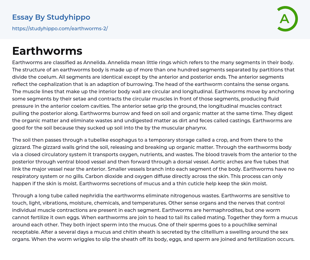 Earthworms Essay Example