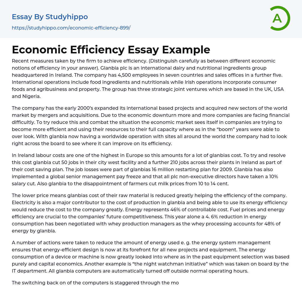 Economic Efficiency Essay Example