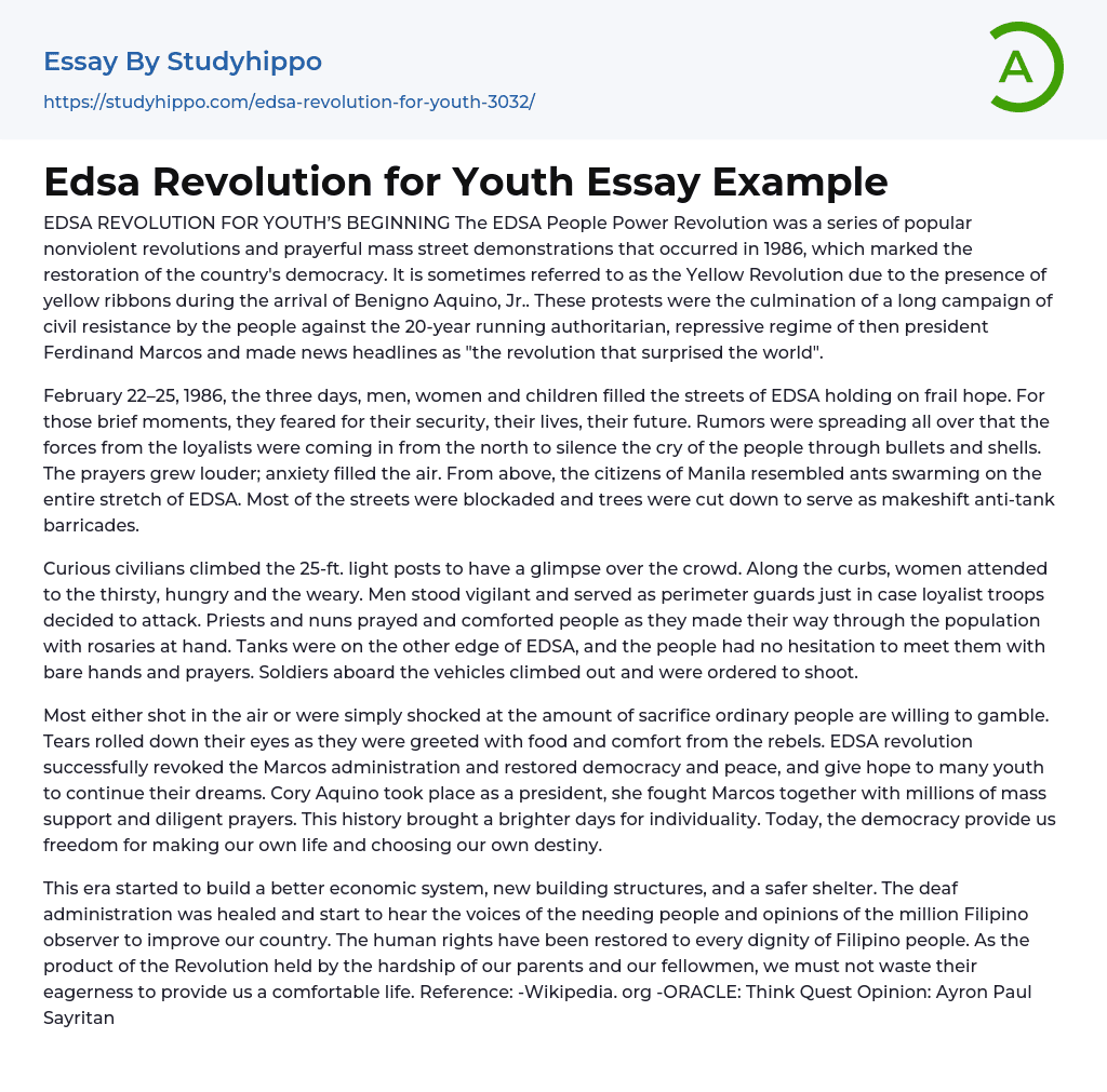 Edsa Revolution for Youth Essay Example