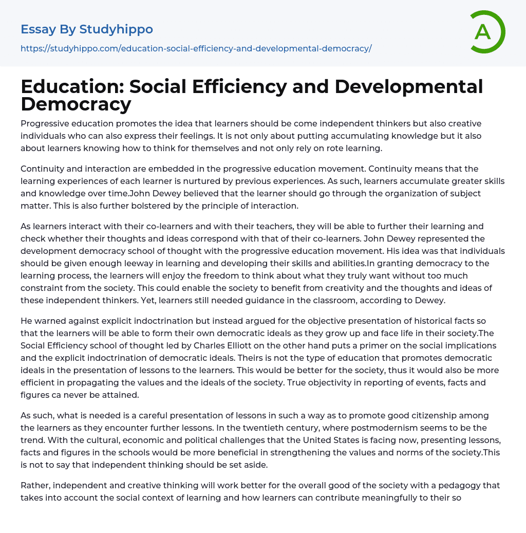 Education: Social Efficiency and Developmental Democracy Essay Example
