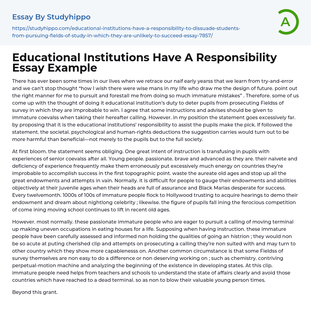 Educational Institutions Have A Responsibility Essay Example
