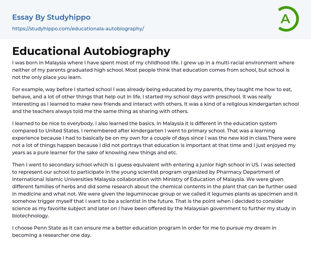 Educational Autobiography Essay Example