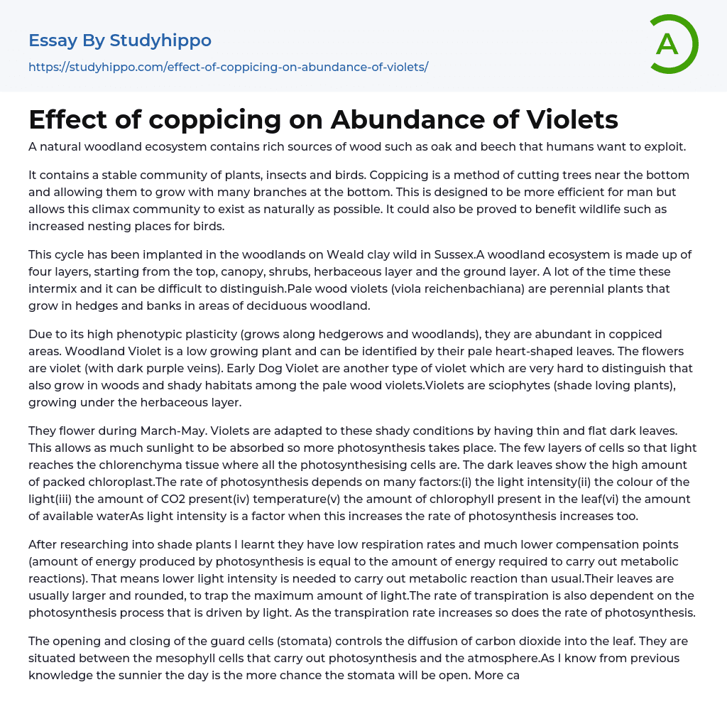Effect of coppicing on Abundance of Violets Essay Example