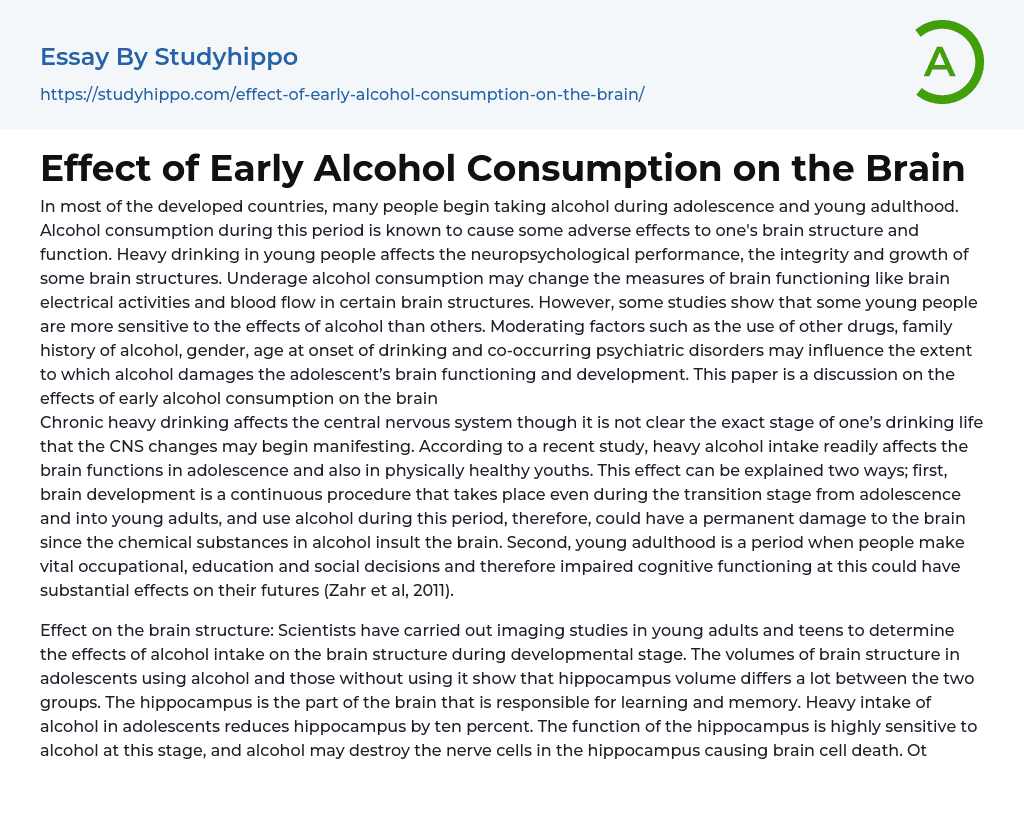 Effect of Early Alcohol Consumption on the Brain Essay Example