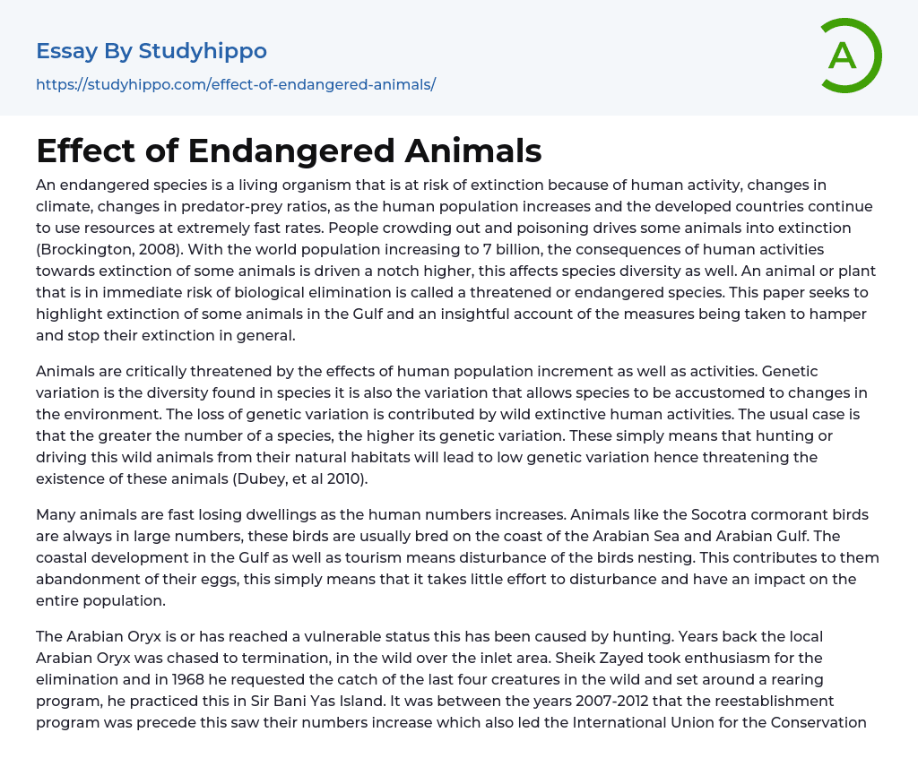 Effect of Endangered Animals Essay Example